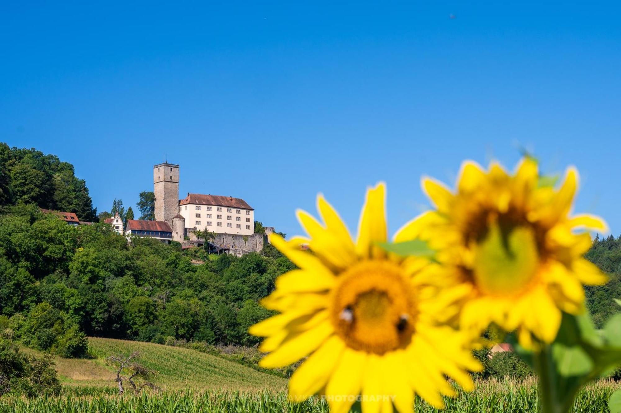 Wohnen Auf Der Ritterburg Villa Hassmersheim Ngoại thất bức ảnh